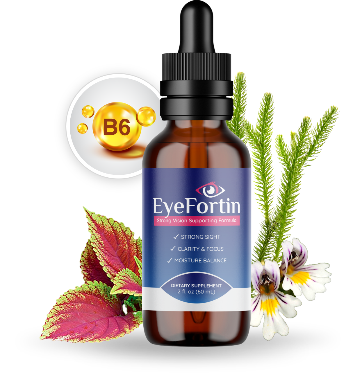 Eyefortin - Vision Support Supplement